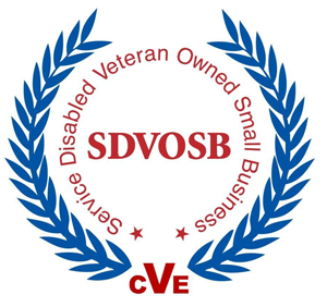 Service-Disabled Veteran-Owned Small Business